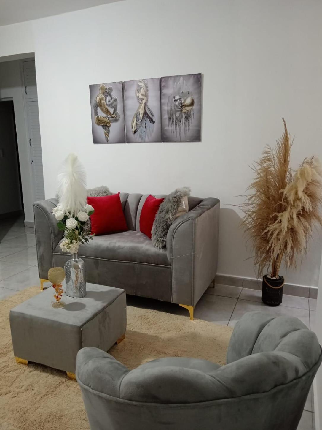 Apartamentos De 1 2 Y 3 Habitaciones Santiago De Los Caballeros Kültér fotó