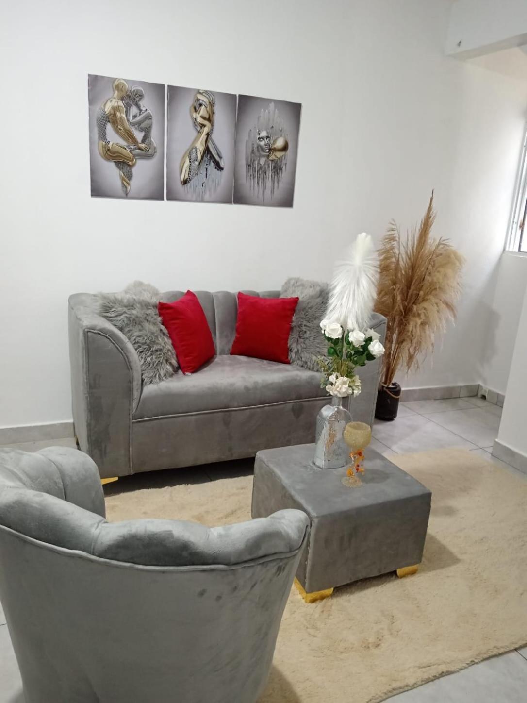 Apartamentos De 1 2 Y 3 Habitaciones Santiago De Los Caballeros Kültér fotó